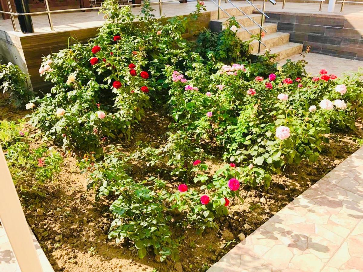 Мини-Отель Кристалл Gantiadi Extérieur photo